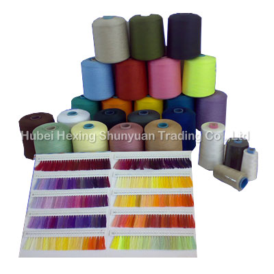 涤纶缝纫线(POLYESTER SEWING THREAD)