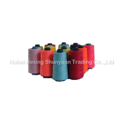202纯涤纶缝纫线（202 POLYESTER SEWING THREAD）