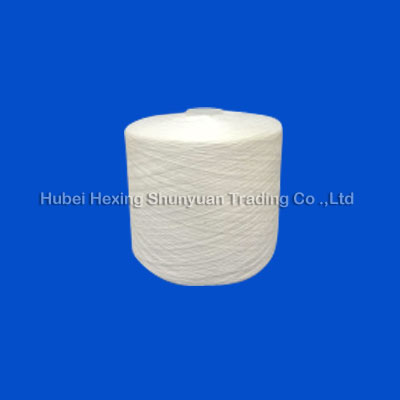 402涤纶纱线松筒（402 POLYESTER YARN ON DYEING TUBE）