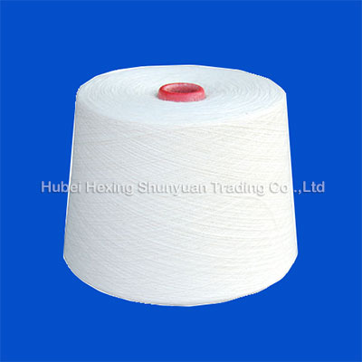 本白涤纶纱线紧筒(RAW WHITE POLYESTER YARN ON PAPER CO